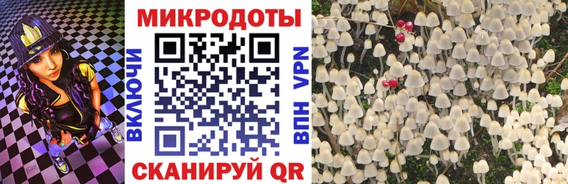 Галлюциногенные грибы Magic Shrooms Ступино