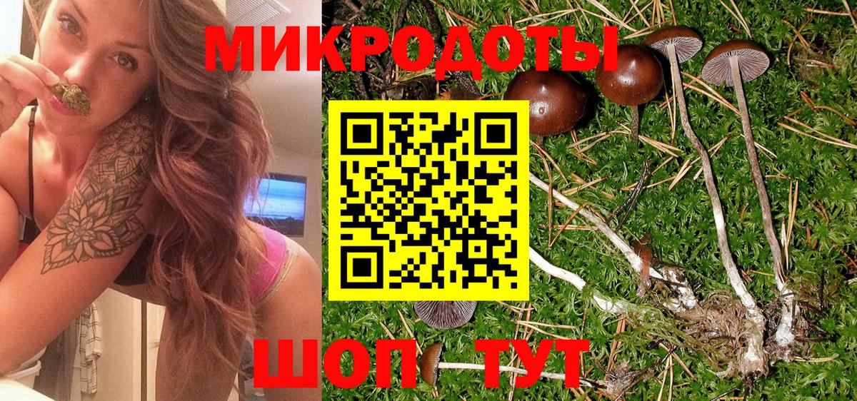 Галлюциногенные грибы MAGIC MUSHROOMS Ступино